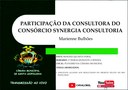 PARTICIPAÇÃO DA CONSULTORA DO CONSÓRCIO SYNERGIA
